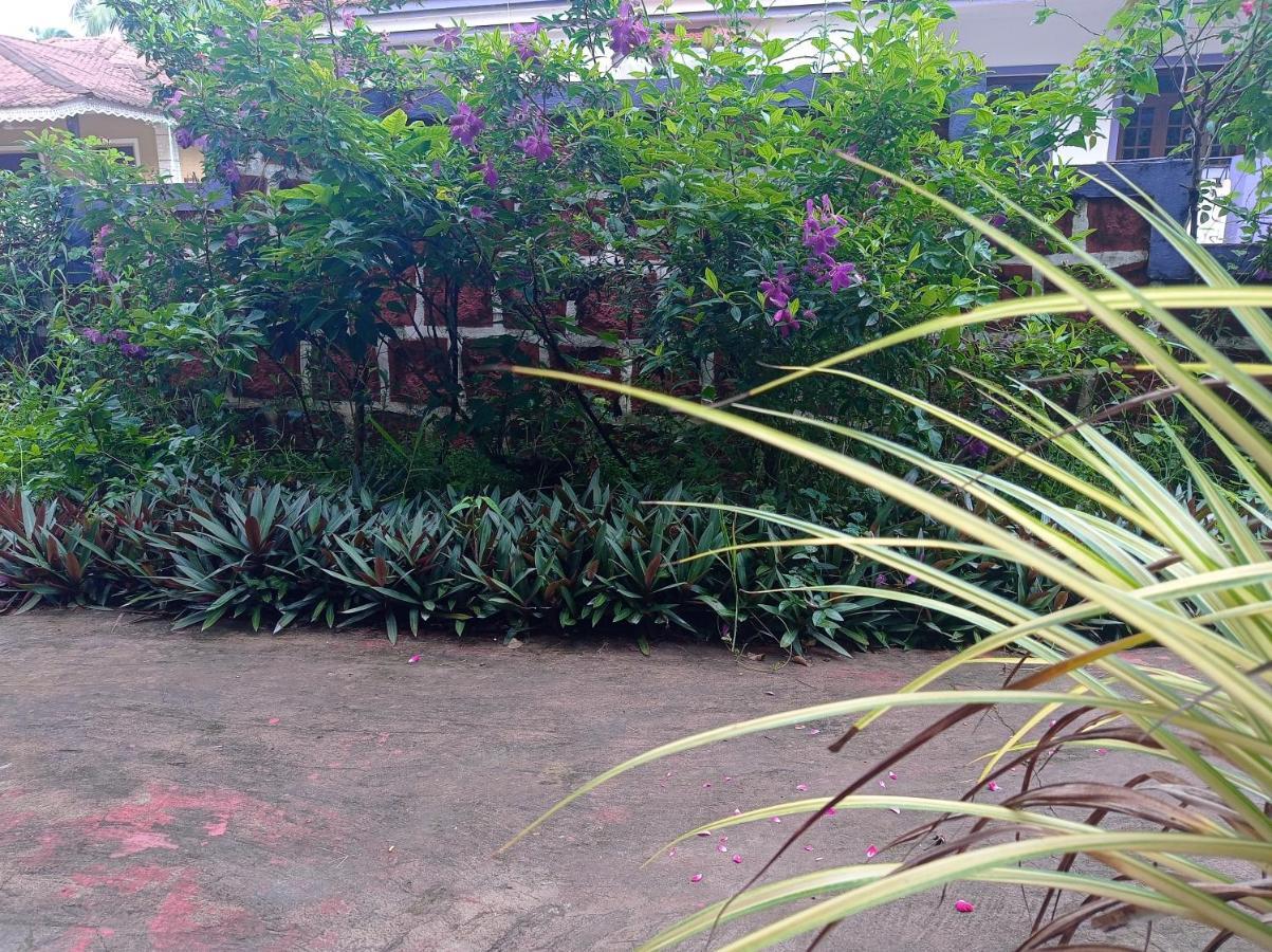 Lobo'S Guesthouse Cavelossim Luaran gambar